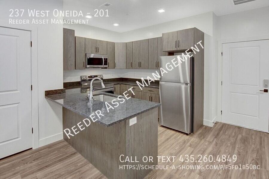 237 W Oneida St #201 - Photo 6 of 22