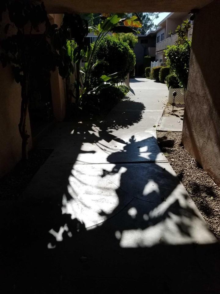 5443 Sepulveda Blvd - Photo 3 of 10