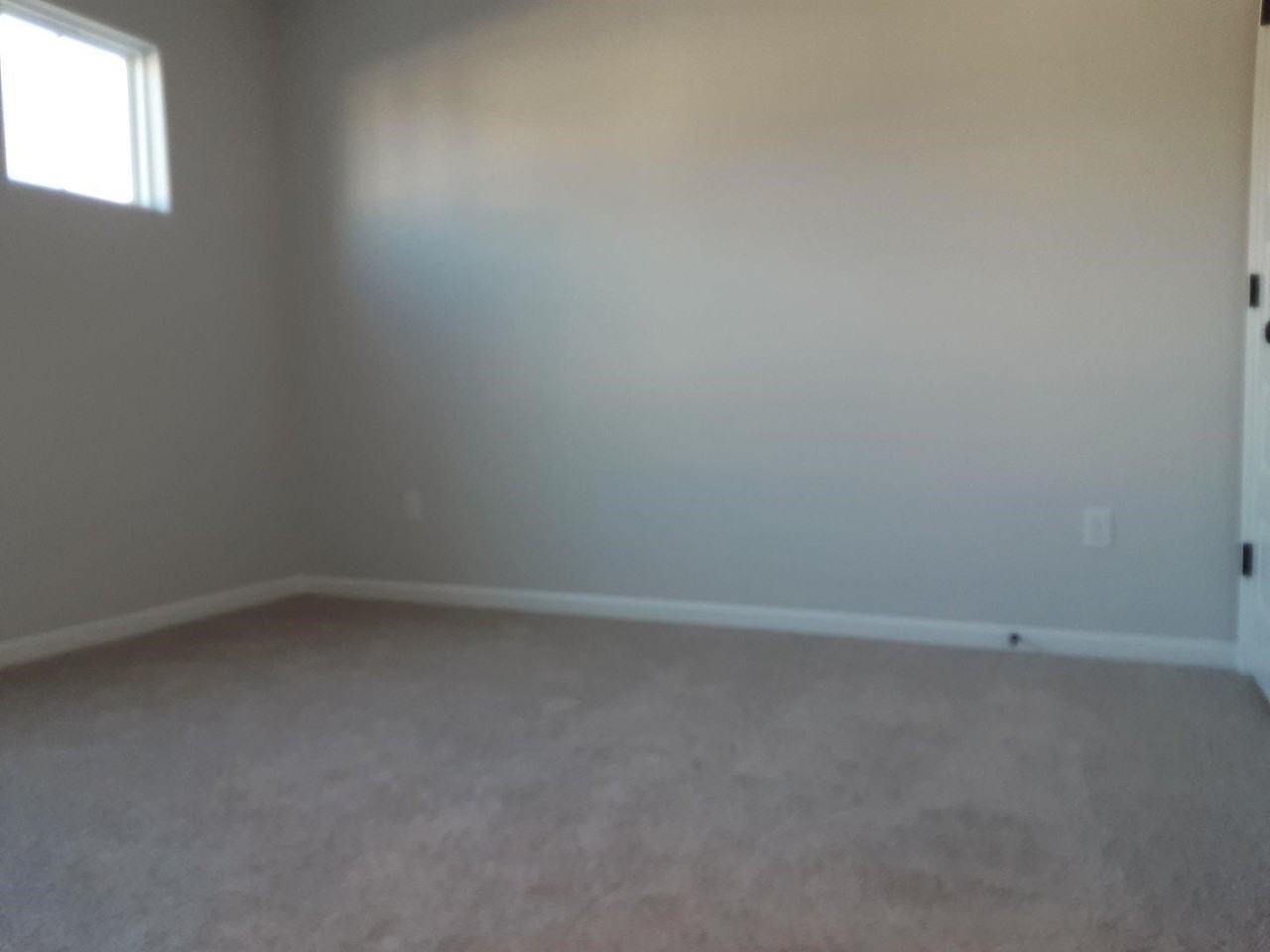 1130 Redear Sunfish Ave - Photo 6 of 13