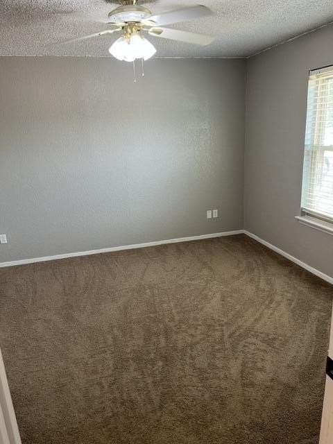 6316 29th St - Photo 3 of 26