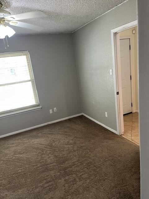 6316 29th St - Photo 6 of 26