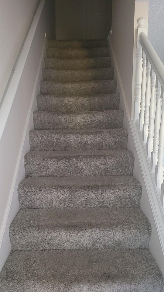 2843 Misty Briar Cv - Photo 7 of 14