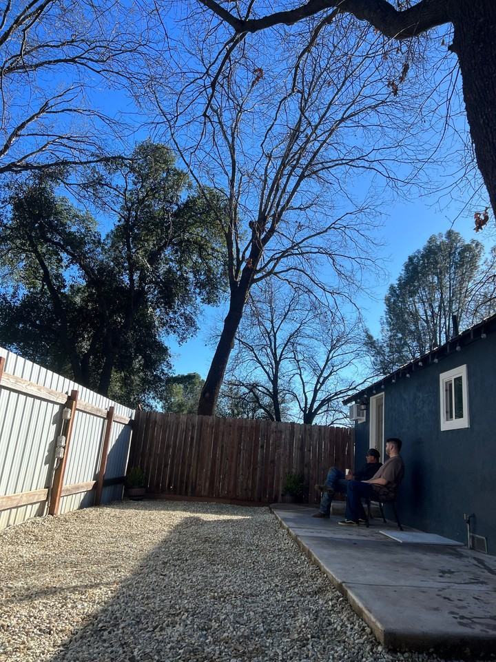 1111 Mistletoe Ln #C - Photo 5 of 15
