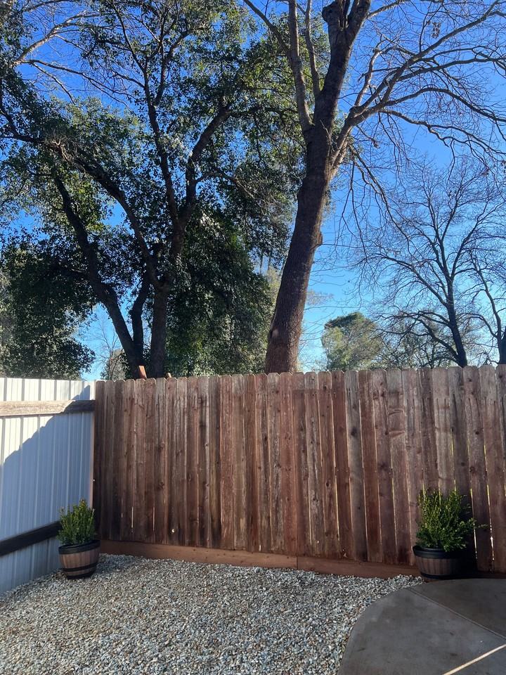 1111 Mistletoe Ln #C - Photo 6 of 15