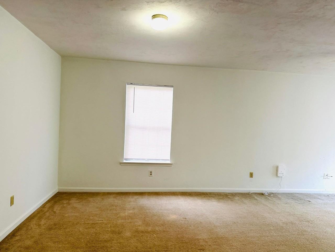 1844 Meriadoc Ct - Photo 4 of 16