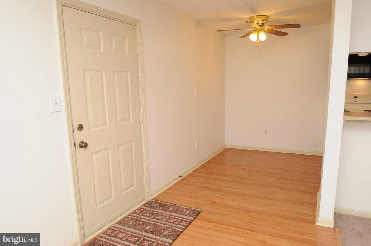 4704 Dorsey Hall Dr #2-204 - Photo 5 of 18