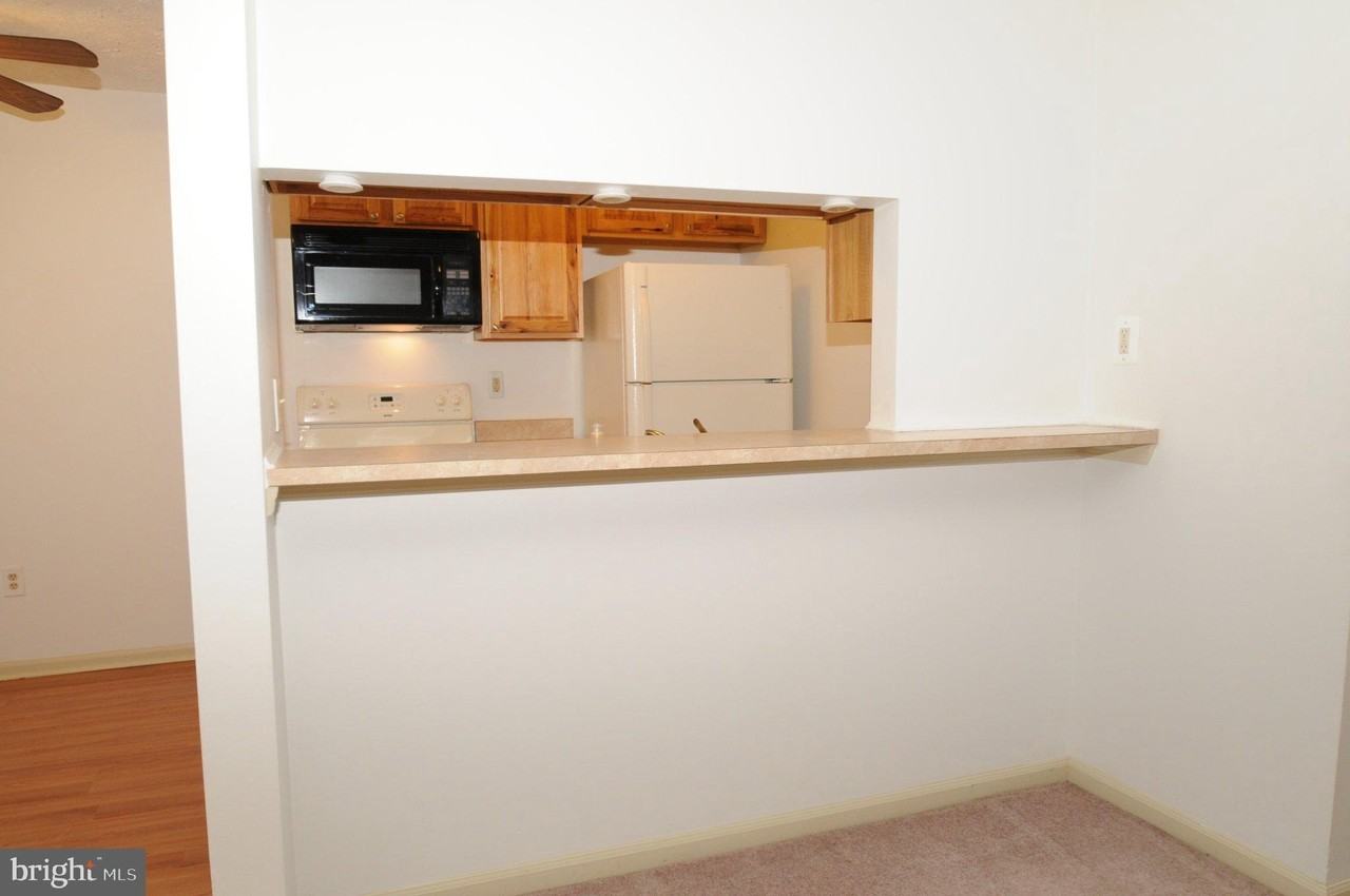 4704 Dorsey Hall Dr #2-204 - Photo 6 of 18