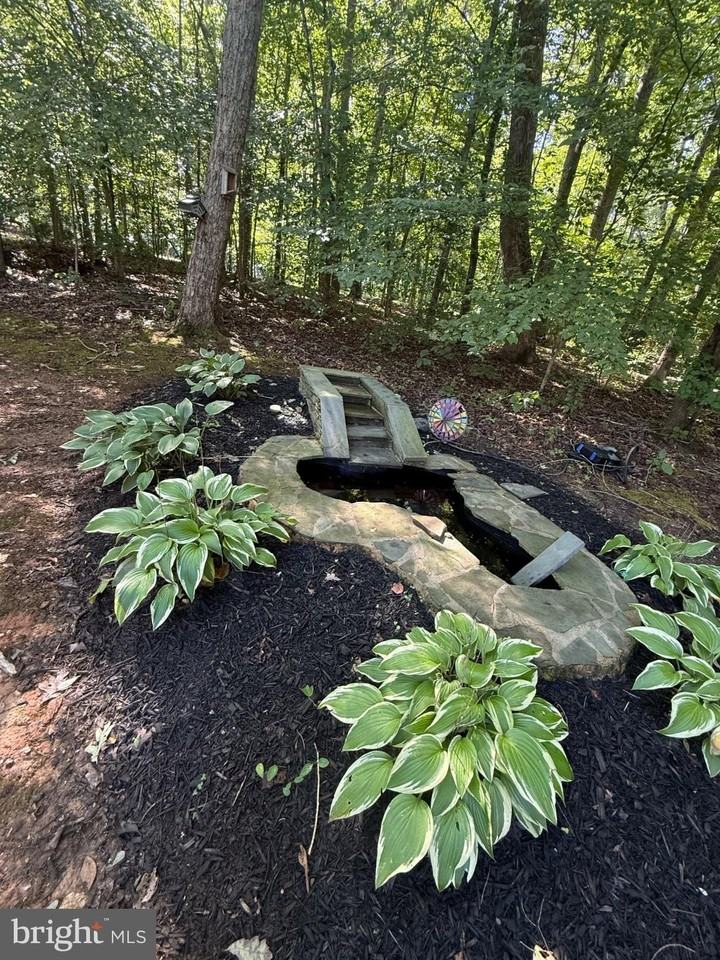 27287 Eleys Ford Rd - Photo 5 of 18