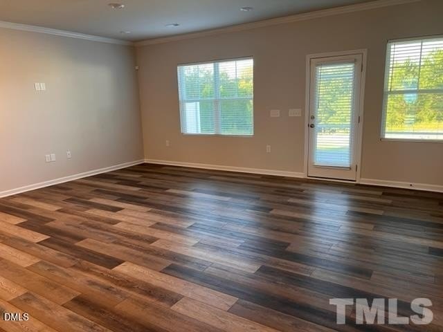 4913 Oolite St - Photo 4 of 19