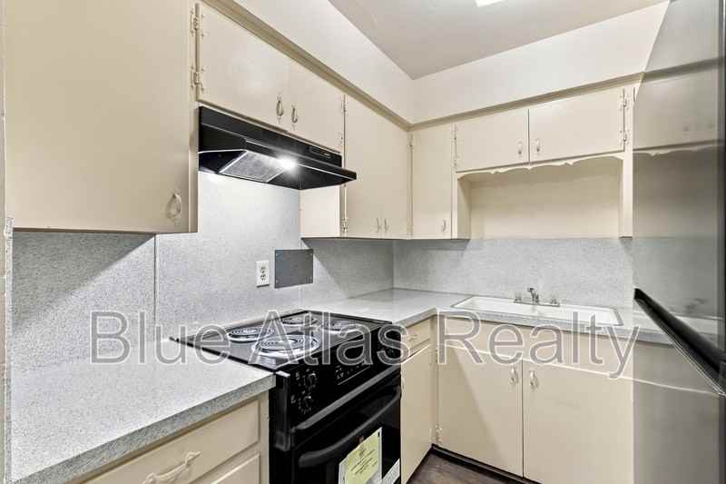 411 E Polk St #8 - Photo 2 of 19
