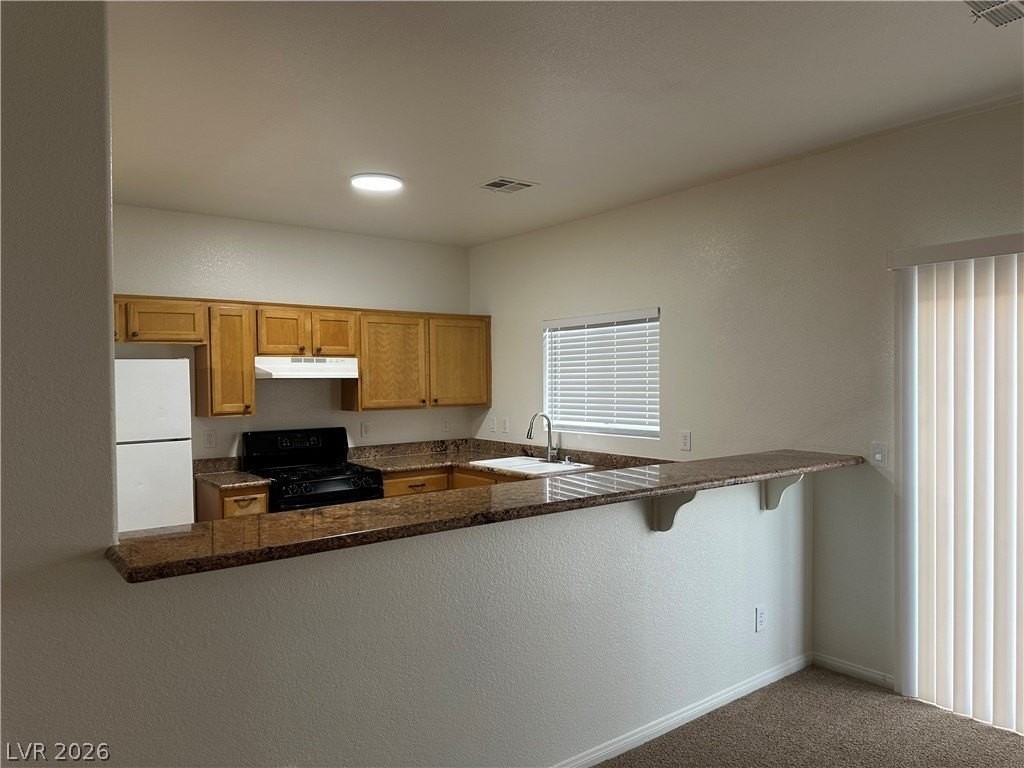 1613 White Skies Ct - Photo 4 of 31