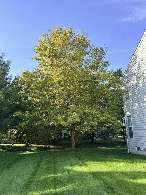5280 High Vista Dr - Photo 2 of 30
