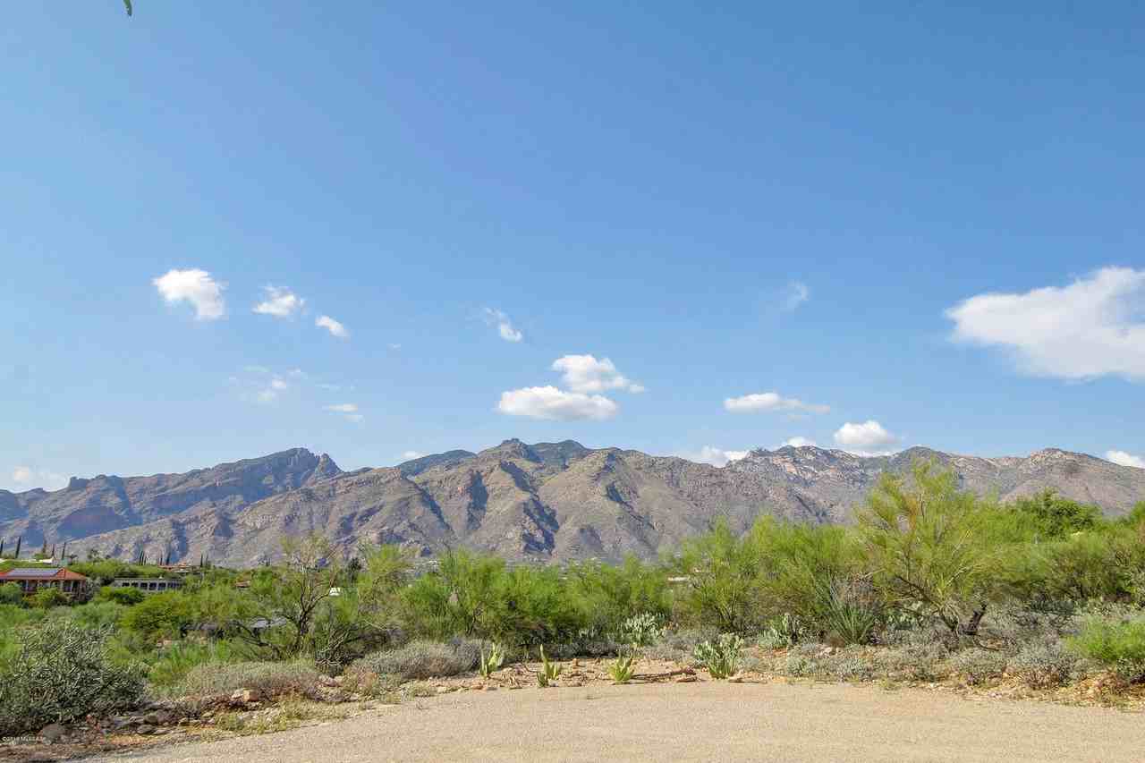 5350 E Camino Francisco Soza - Photo 2 of 20