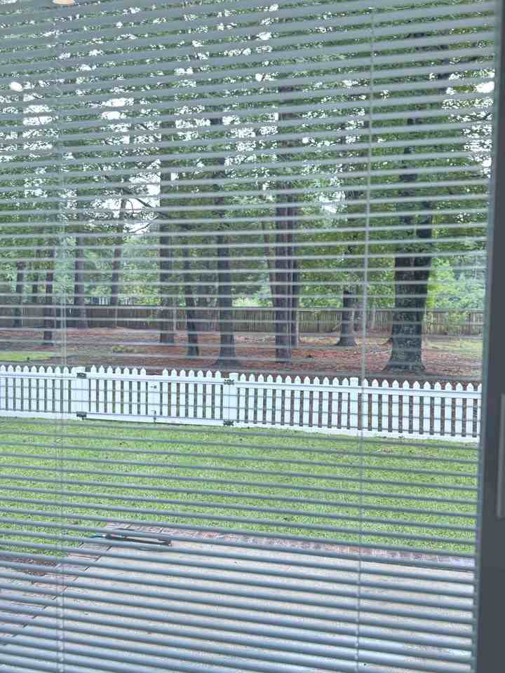 459 Brace Dr #NA - Photo 3 of 26