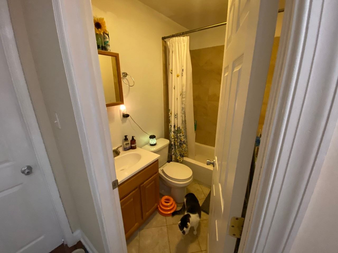 1845 N Bouvier St - Photo 6 of 10