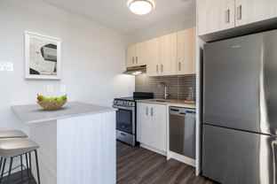 Briar Hill - Belgravia - Photo 1 of 1