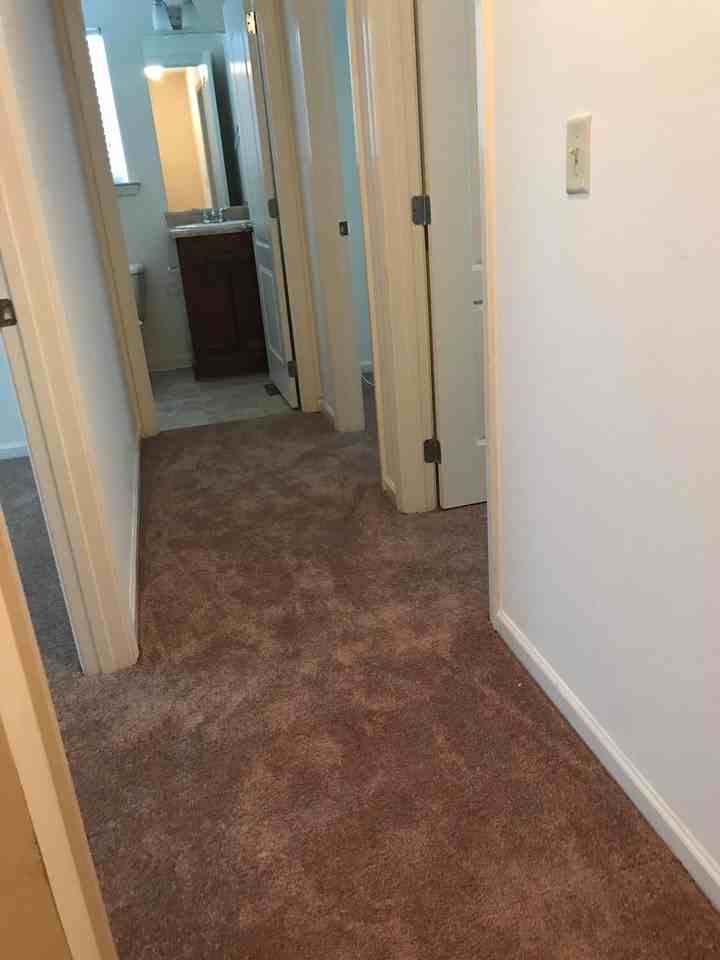 11512 Maple Arbor Way #11512 - Photo 3 of 7