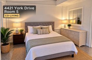 4421 York Dr - Photo 1 of 1