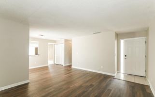 featured image of 10533 Chadbourne Dr