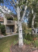 27 Bancroft Ct - Photo 1 of 1