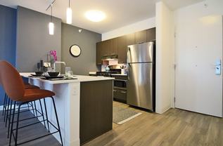 249 N Wells St #0209 - Photo 1 of 1