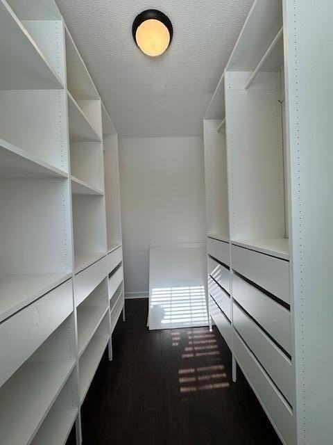 53 Flat Trail Ct - Photo 5 of 50