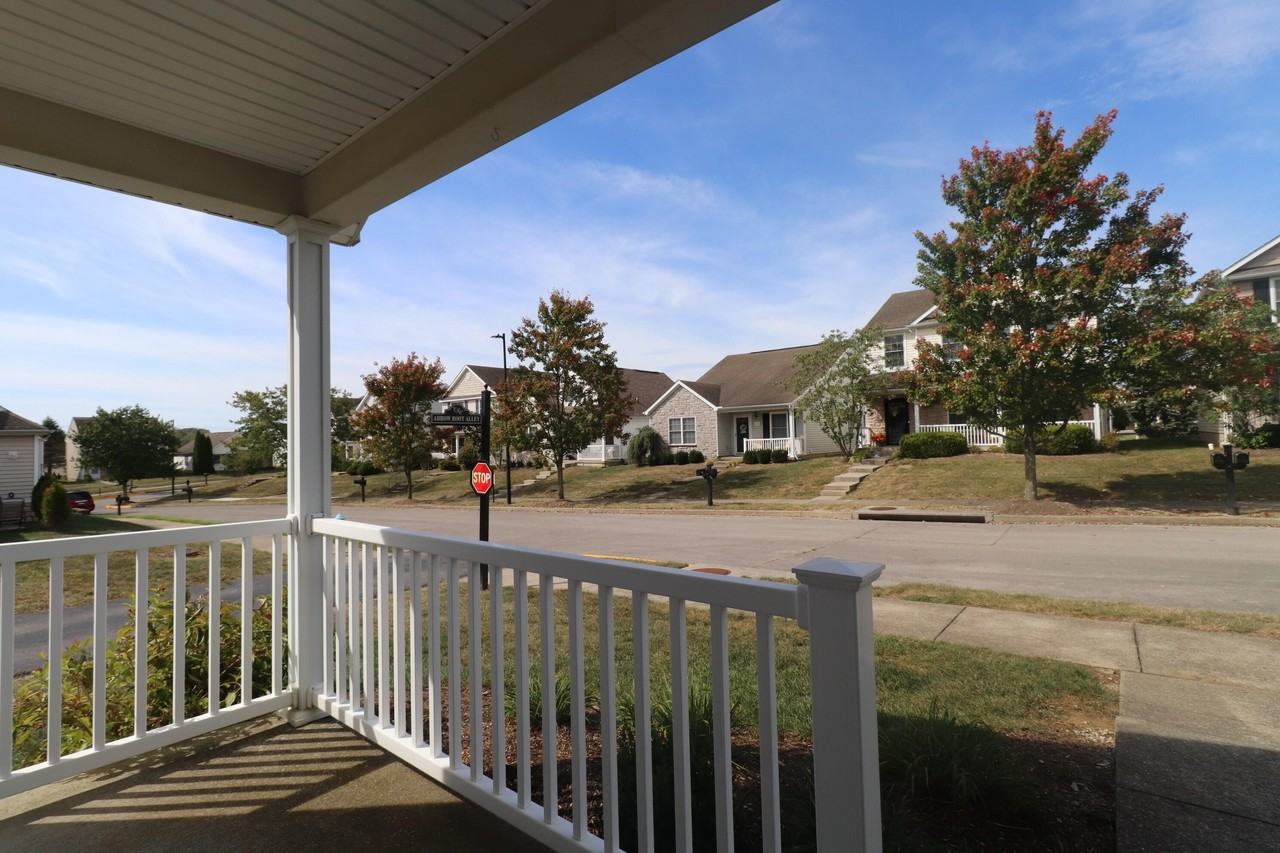 1032 Lemon Rue Way - Photo 4 of 19