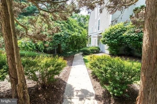 12110 Cardamom Dr #12110 - Photo 2 of 11