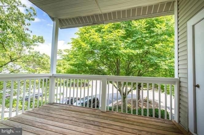 12110 Cardamom Dr #12110 - Photo 5 of 11