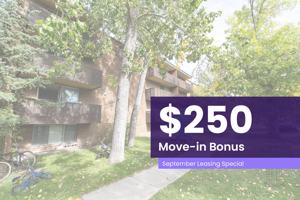featured image of 312 3 Ave Ne