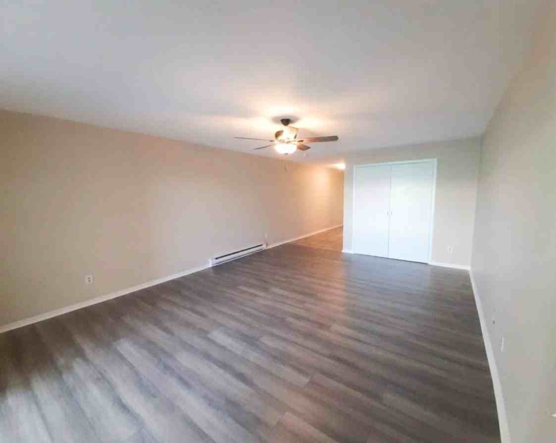 844 Princess Street - Photo 4 of 16