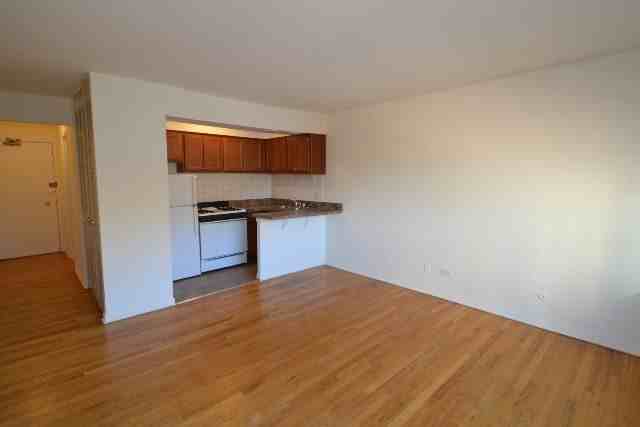 540 W Roscoe St #582 - Photo 4 of 13