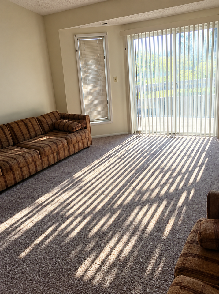 802 W Springfield Ave - Photo 4 of 9