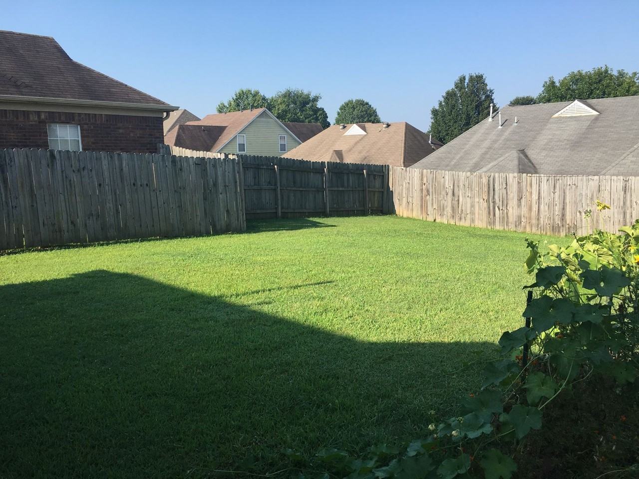 1115 Red Fern Cir E - Photo 5 of 20