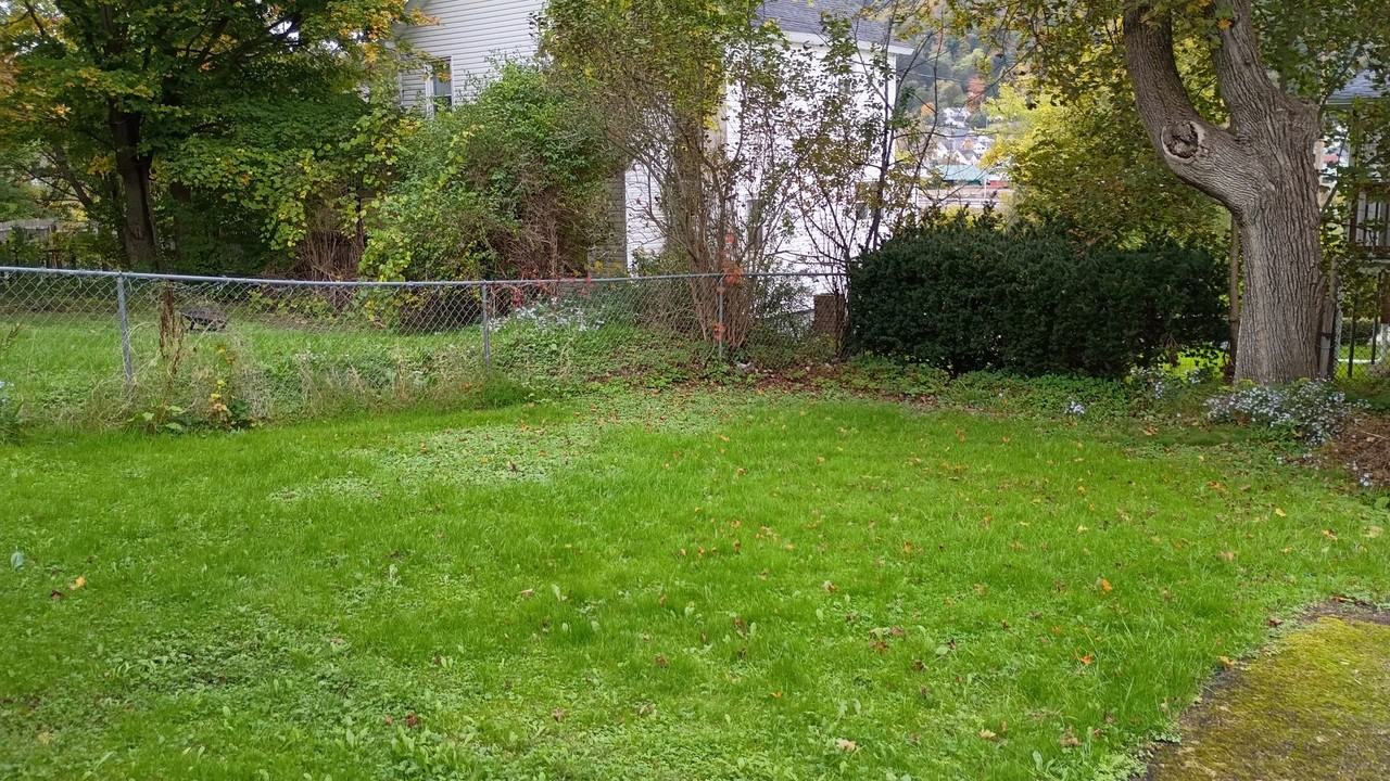 16 Rochester St - Photo 5 of 20