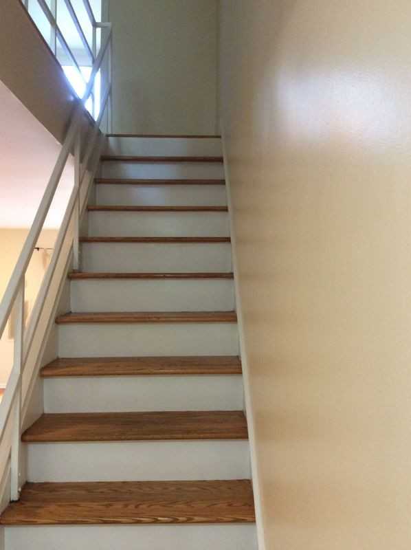 125 Olive St ##D6 - Photo 7 of 34