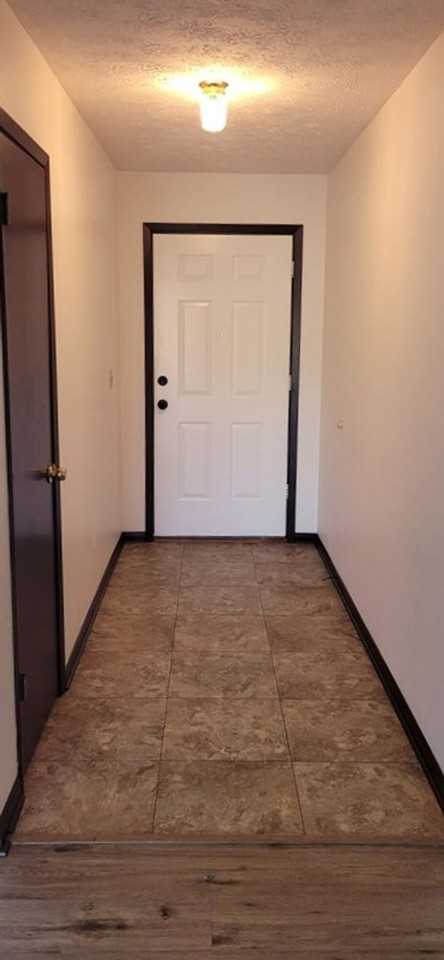 7709 Betty Louise Dr - Photo 4 of 23