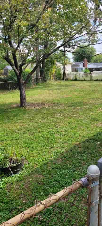 715 S Hickory Dr #NA - Photo 3 of 11