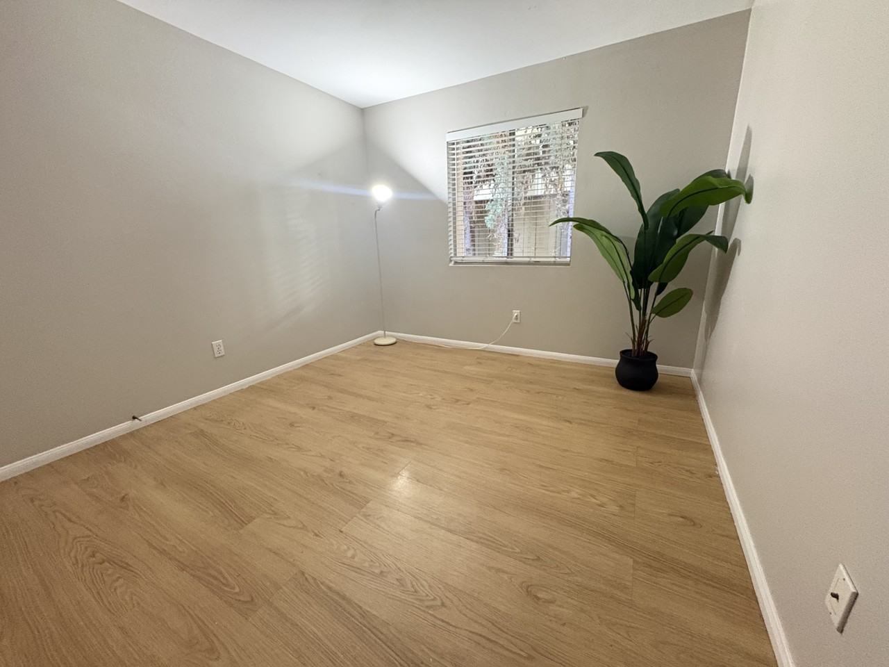 2920 Luciernaga St Apt 101 #2920-101 - Photo 6 of 19