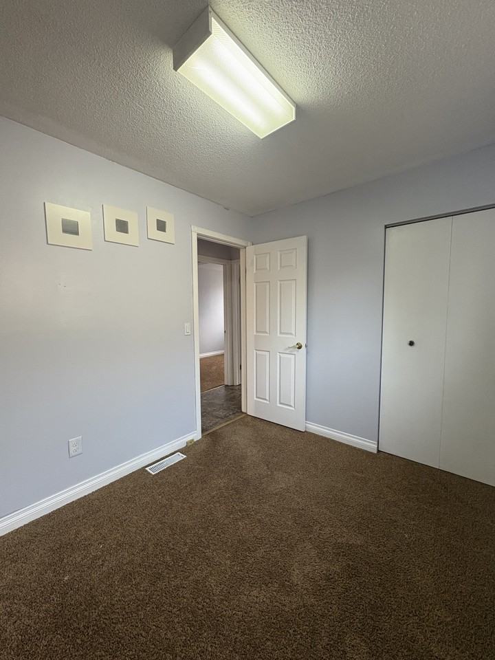 217 Paddington Rd - Photo 7 of 20