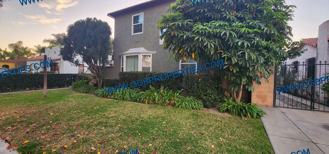2365-71 Eucalyptus - Photo 1 of 1
