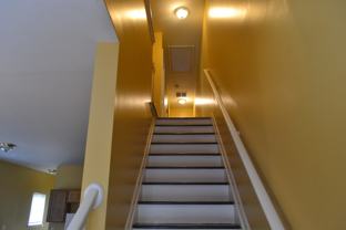 446 Holly St - Photo 1 of 1