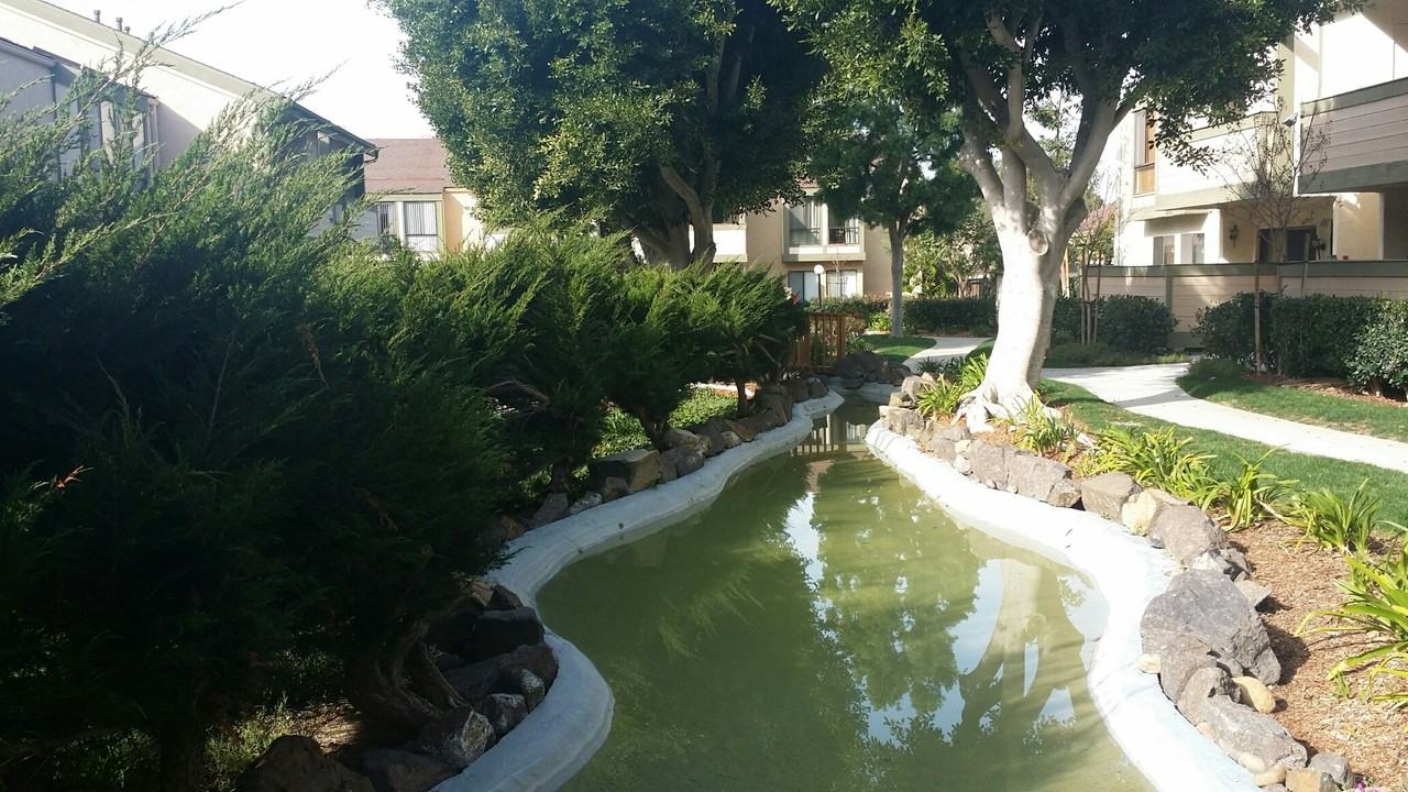 10218 Black Mountain Rd #62 - Photo 3 of 22