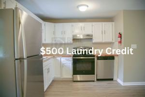featured image of 11 Hickey St #5