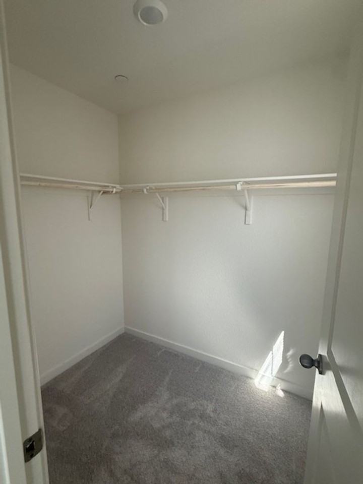 2503 Galactic Ln - Photo 6 of 13