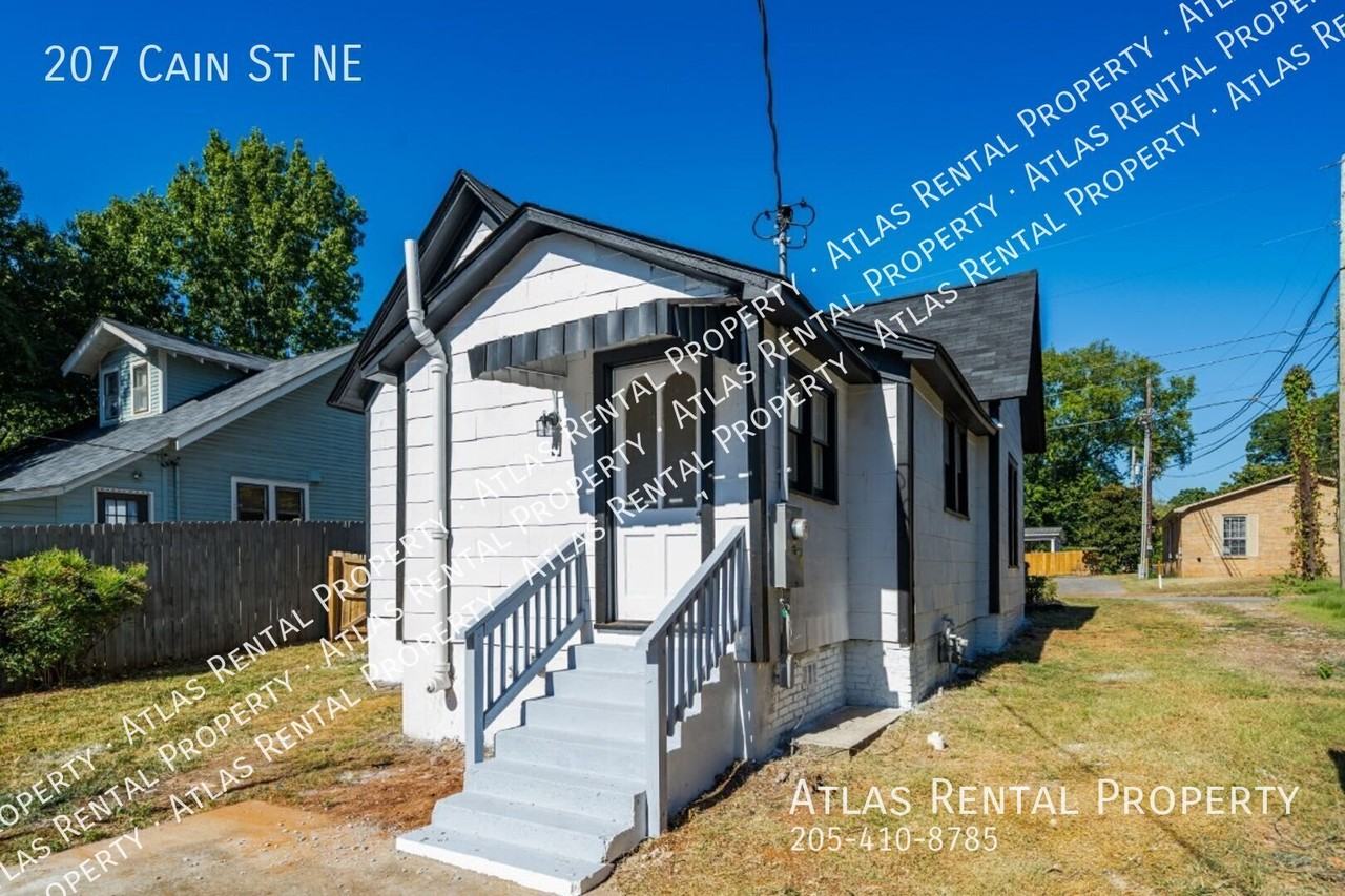 207 Cain St Ne - Photo 3 of 22