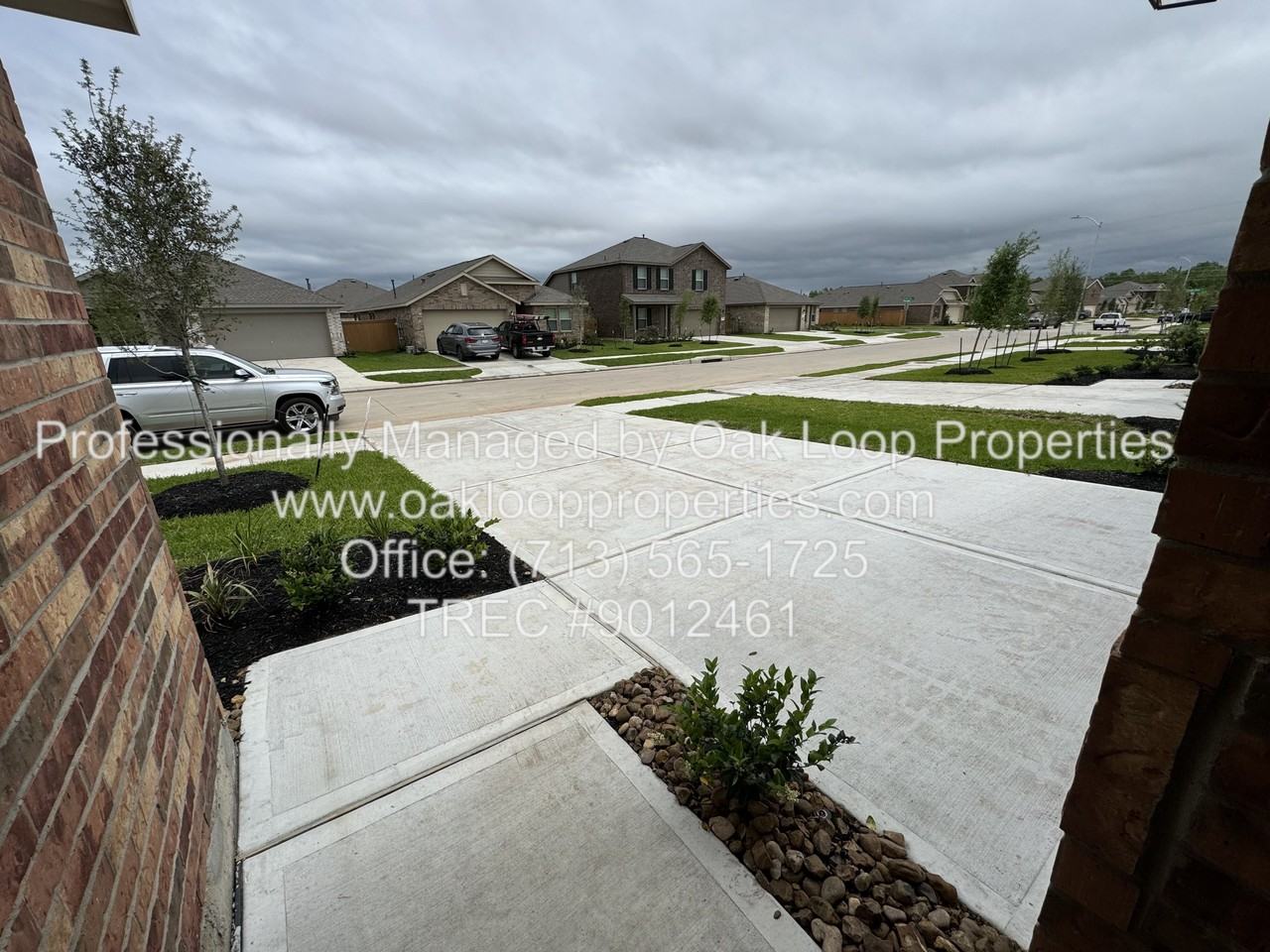 27115 River Birch Ridge Dr - Photo 4 of 27