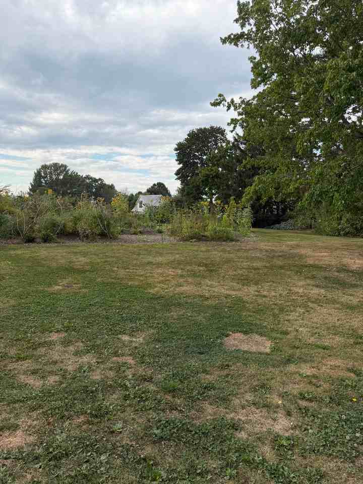 24 Providence Ave - Photo 3 of 16