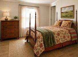 featured image of 1416 John Lutz Cir