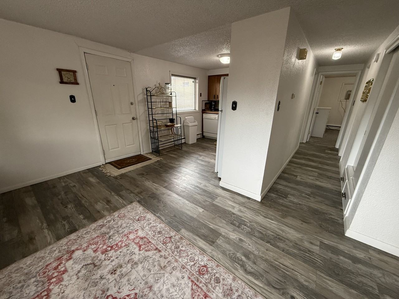 2901 8th Avenue North (Newest) - Photo 4 of 10